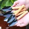 Garden Tools And Supplies Small Shovel Garden Shovel Mini Wooden Handle Small Shovel Weeding And
