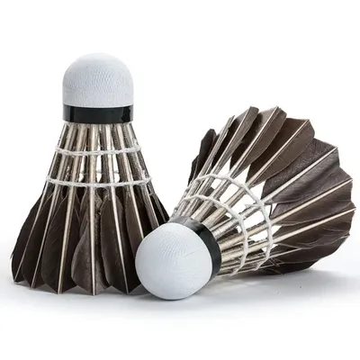 6/12Pcs Professional Badminton Shuttlecock Black Goose Feather Badminton Shuttlecock Training Sport