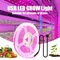 DC 5V USB Led Plant Grow Lights,1m 2m 3m Full Spectrum Phyto Lamp Strip for Plants Hydroponics Greenhouse Growing System