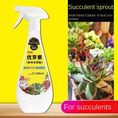 300 Ml Succulent plant primordial blastins promoting budding blastins culture multi plant type
