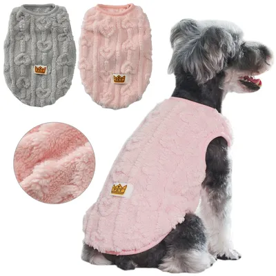 Pet+Costumes