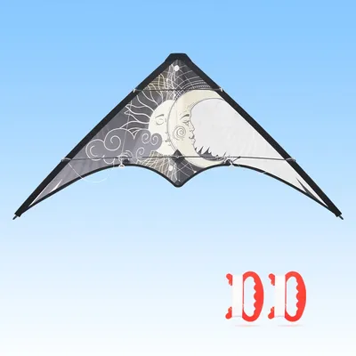 YongJian 48 Inch Professional Dual Line Stunt Kite With 30M kite string Personalized pattern stunt