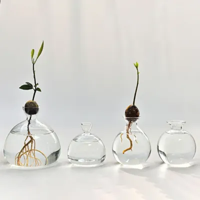 Vases