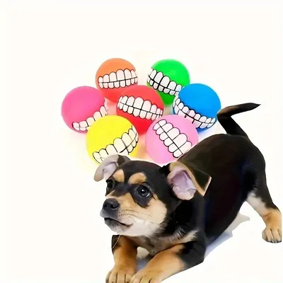 Small+Pet+Supplies