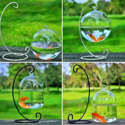 Round/Rectangle Shape Hanging Glass Aquarium Fish Tank Fish Bowl Transparent Vase Ornament With Rack