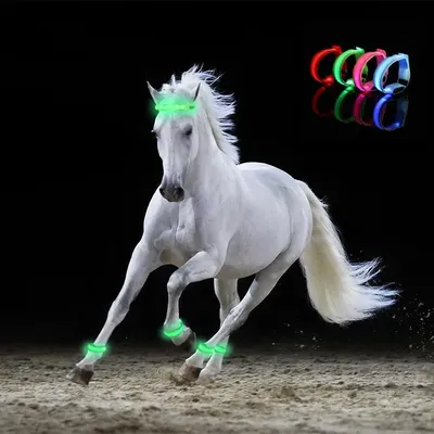 4 pcs/set LED Lighting Horse Leg Safety Belt Horse Leg Straps Night Riding Equipment Outdoor Sports Equestrian Supplies