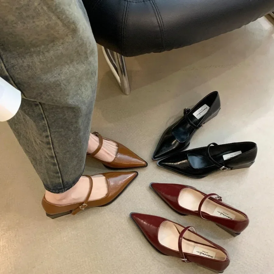 Retro Style Women Mary Jane Shoes New Fashion Pointed Toe Thick Heel Ladies Single Shoes Comfortate Office Pumps Footwear