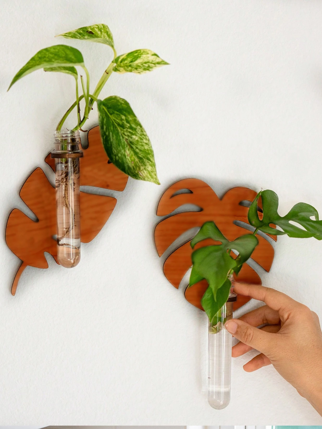 Form Wand Pflanzer für Zimmer pflanzen Pflanzen vermehrung station Wandbehang einzigartige Gartenarbeit für Frauen Mutter Pflanzen liebhaber Geschenke Image