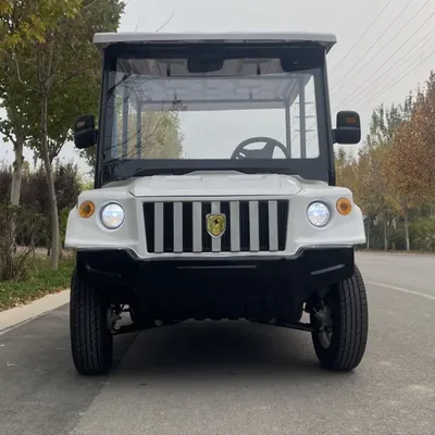 2024 New All Terrain Off-Road Electric Golf Cart With Folding Windshield 12-Inch Off-Road Tires Cargo Cart Sightseeing Golf Cart