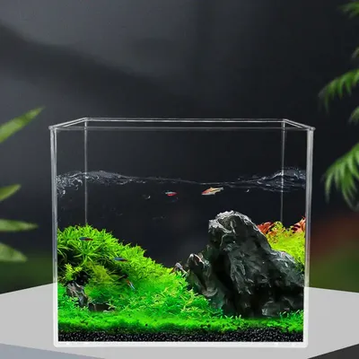 Small Nano Tall Rimless Tank, Small Glass Fish Tank, Small Betta Fish Tank, Small Aquarium, Min Aquarium, Betta Tank