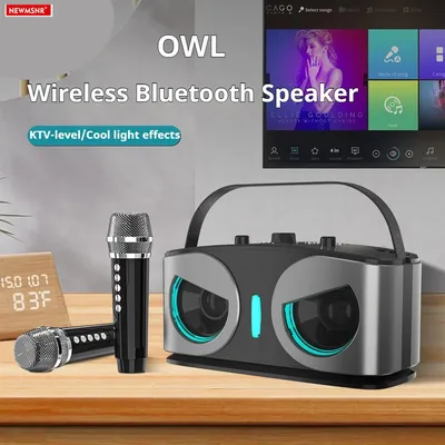 Owls 20W Powerful Wireless Bluetooth Speaker with Dual Mics Portable HIFI Sound Outdoor Family Party