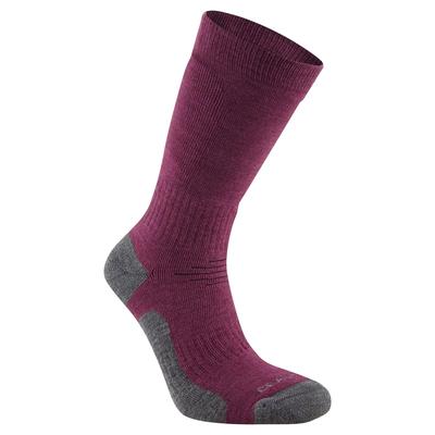 Craghoppers - "Trek" Socken für Herren/Damen Unisex (Beere) Image