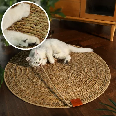 Cat+Supplies