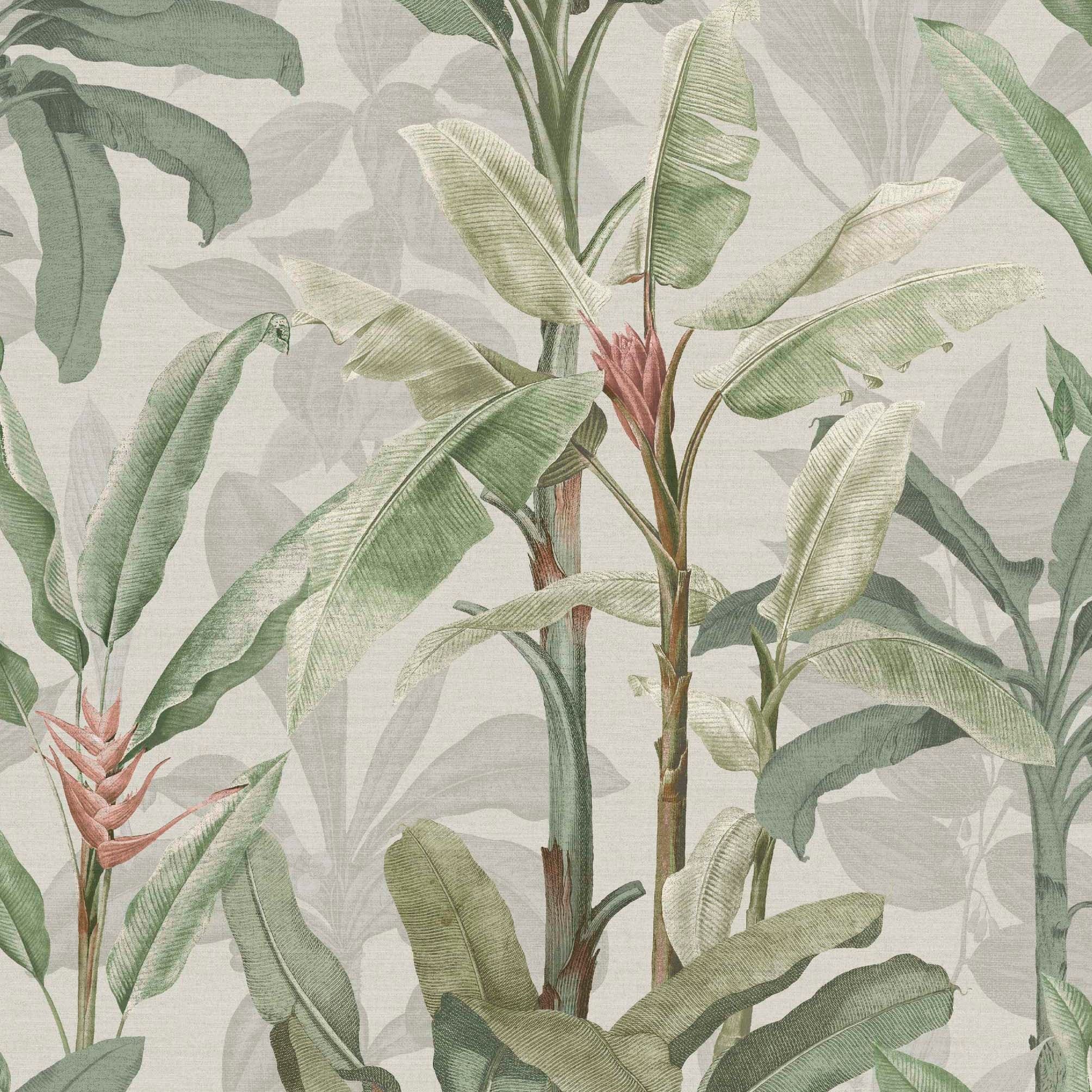 Borneo Powder Wallpaper
