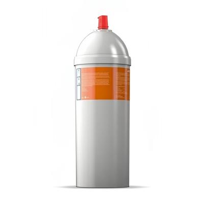 Doregrill PROFESSIONAL WATER FILTER XLL Water Filter XXL for D-ONE