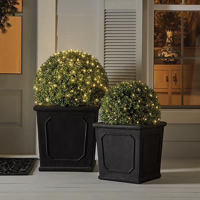 LED Plant Lights - Small (60 lights) - Ballard Designs