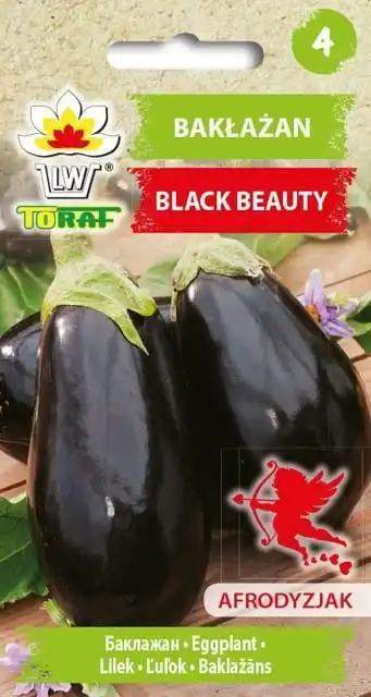Aubergine Black Beauty Gemüse Auberginenkerne 1G-TORAF Image