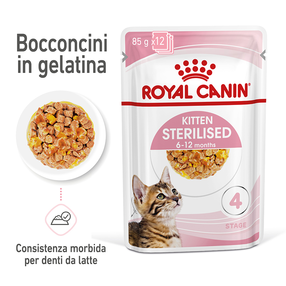 Royal Canin FHN Kitten Sterilised umido in Gelatina per gatti - Set %: 48 x 85 g