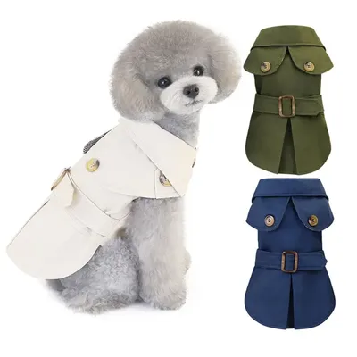 Pet+Costumes