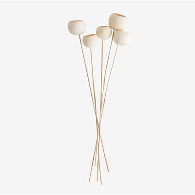 SKLUM 5er Pack dekorative getrocknete Äste von Aegle Weiss Image