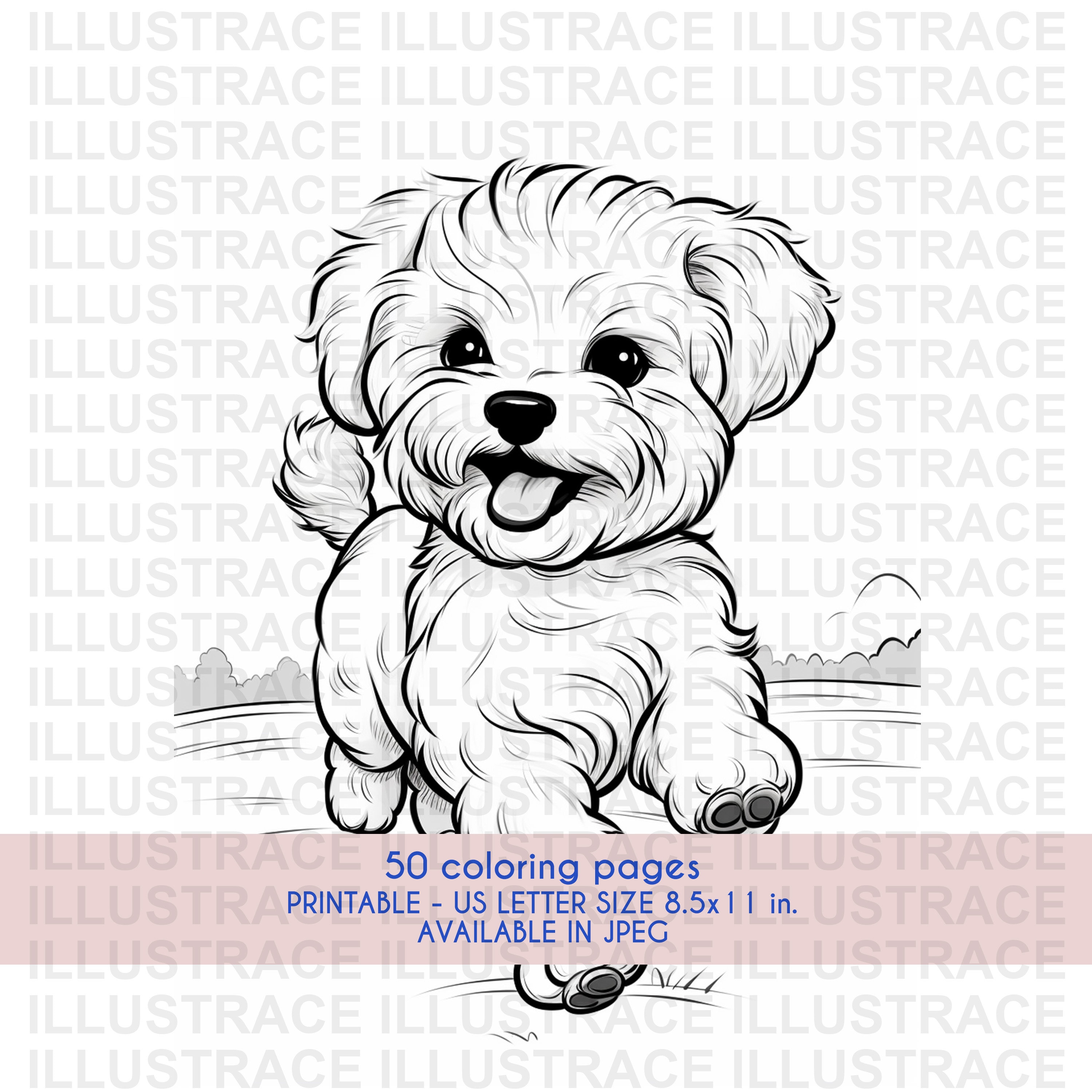 50 pagine da colorare per cani Maltipoo, libro da colorare Maltipoo, foglio da colorare, pagina da colorare per cani, libro da colorare per bambini, k