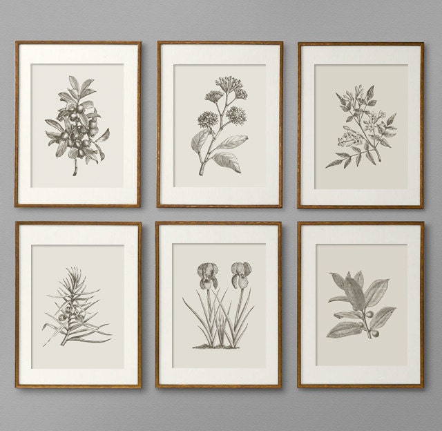 Stampe Botaniche Set di Stampe Botaniche Arte Botanica Arte Murale Arte Botanica Stampe Cucina Decor Cucina Arte Murale Arte Murale Arte