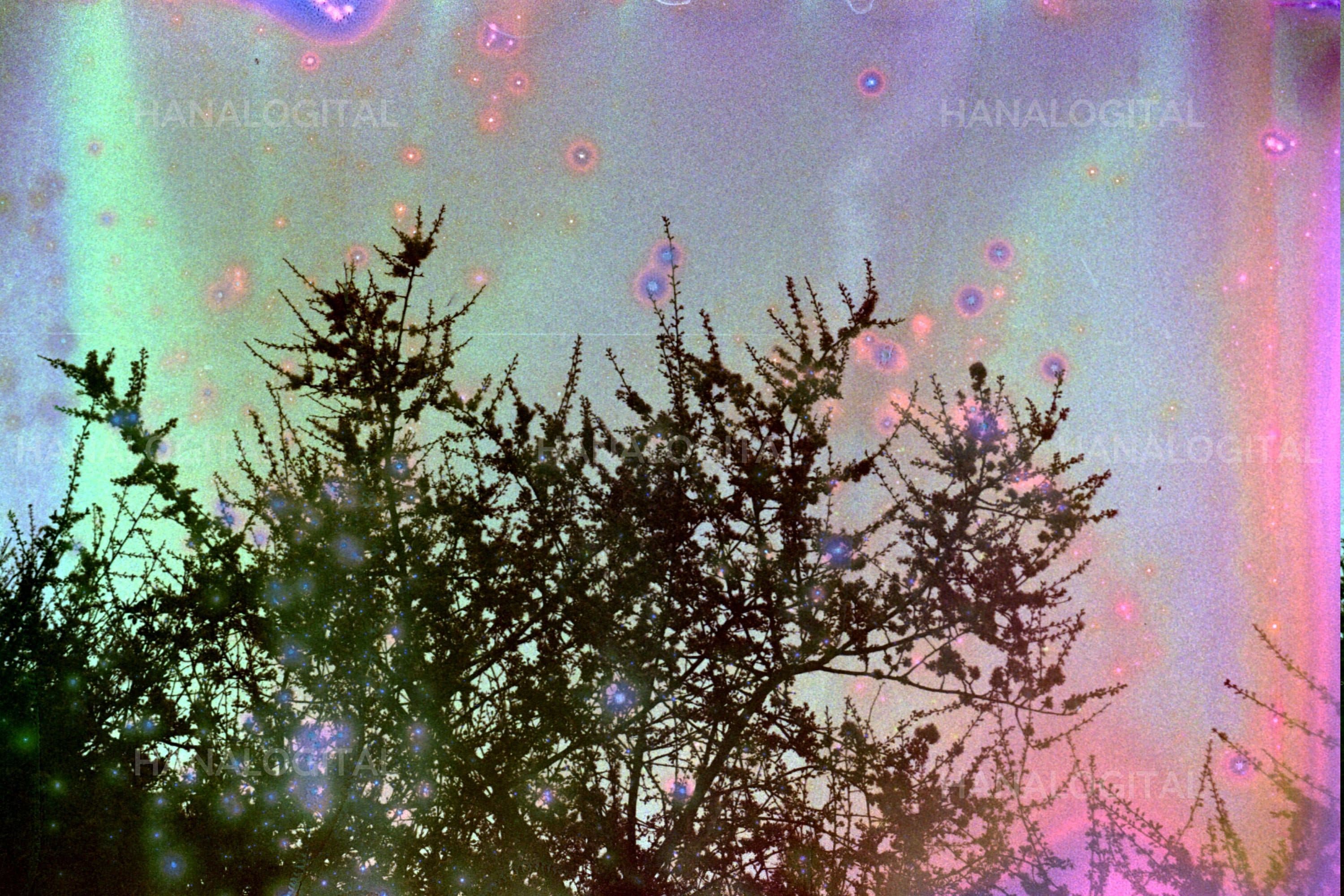 Zuppa di pellicola FLUORITE ANALOGICA 35 mm Pellicola di piccolo formato Fotocamera analogica Fotografia sperimentale Zuppa di pellicola Rullino di pe