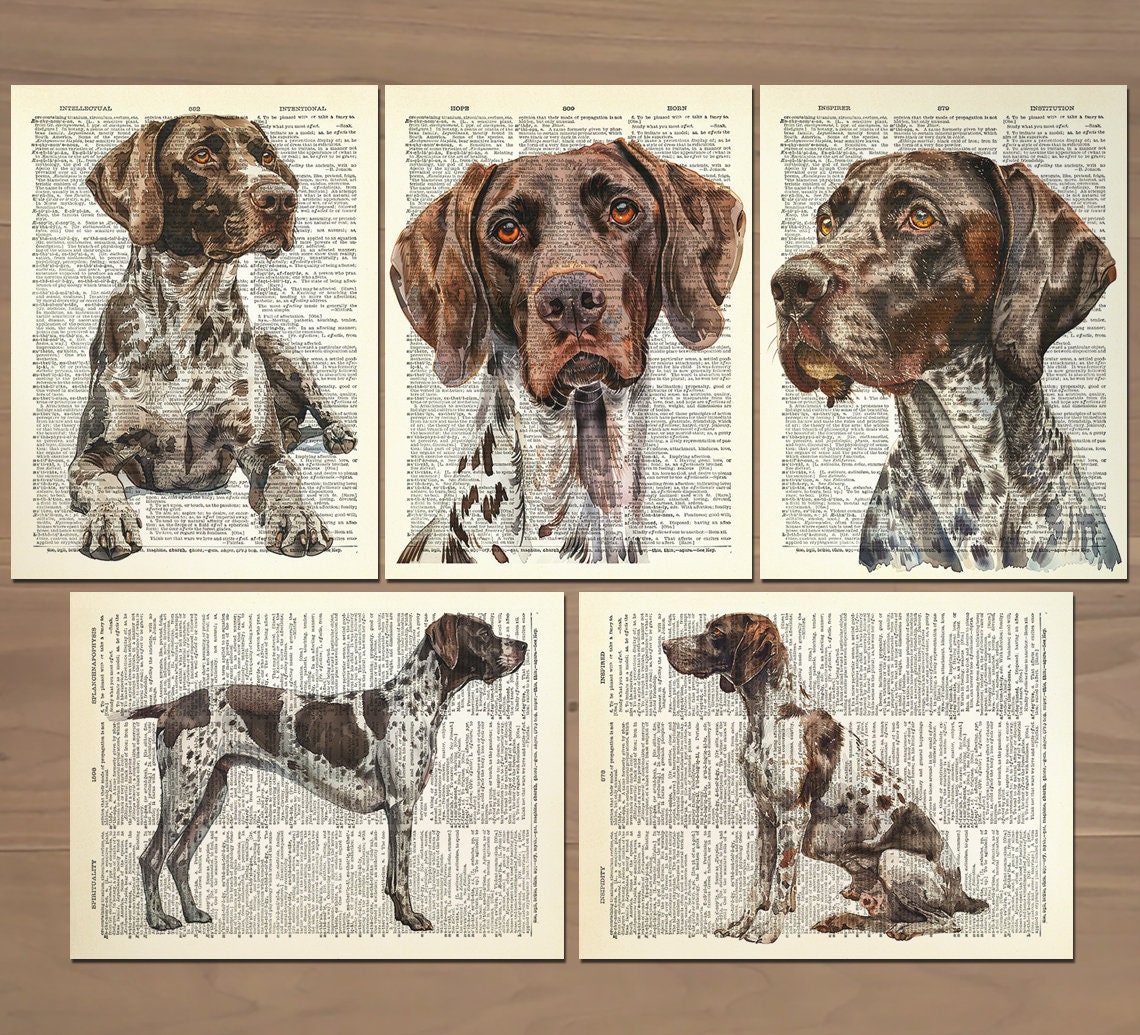Set di 5 stampe di cani da caccia tedeschi a pelo corto, poster di cani da caccia tedeschi a pelo corto, poster di cani GSP, decorazione da parete GSP