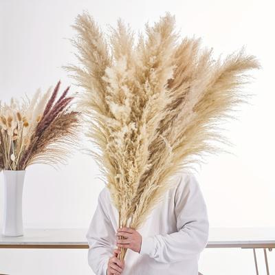 TEMU 12pcs Of Real Pampas Grass Dried Flowers Decoration, 116 Cm Large Pampas Grass Dried Bouquet, Pampas Grass Xxl For Floor Vase, Reed Flower Fluffy Pampas Decoration For Wedding Decoration Room Image