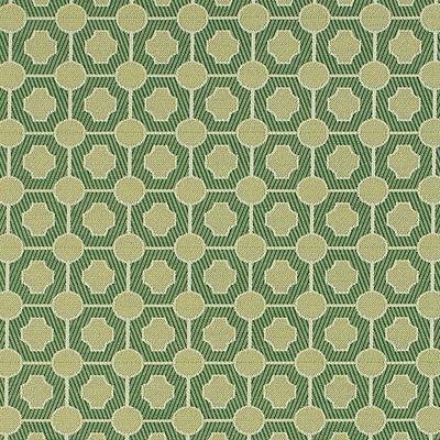 Letha Green InsideOut Performance Fabric by the Yard - Ballard Designs
