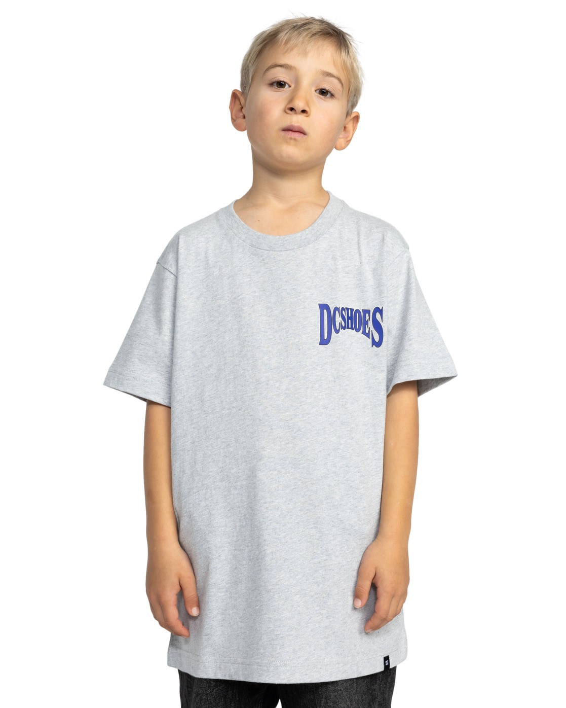 Shirttop DC SHOES "Members Only", Jungen, Gr. 14(155-164cm), grau (light erdgrau), [Hauptstoff] 75% Baumwolle, 25% recycelte Baumwolle, Tops Shirttop