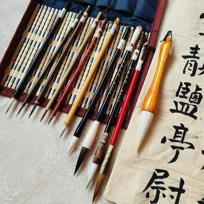 11pcs Brush Chinese Brushes Calligraphy Painting Watercolor Pen Writing Set Ink Sumi Drawing School