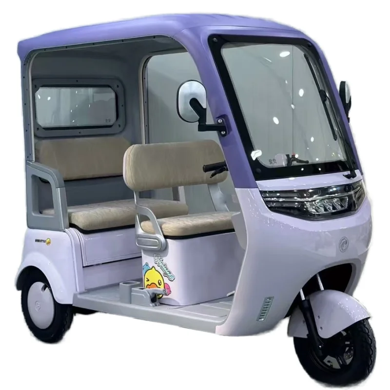 Leistungsstarker 3-Rad-Elektro-Dreirad-Sitz 3 für Frachtpassagier für ältere Erwachsene mit Dach 800 W Eltern-Kind-Elektroroller Image