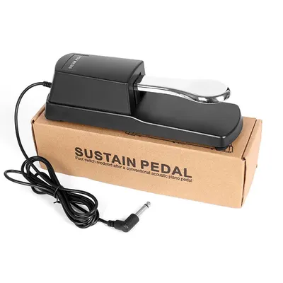 Black Digital Piano Keyboard Sustain Damper Pedal With Polarity Switch Universal For Casio Yamaha