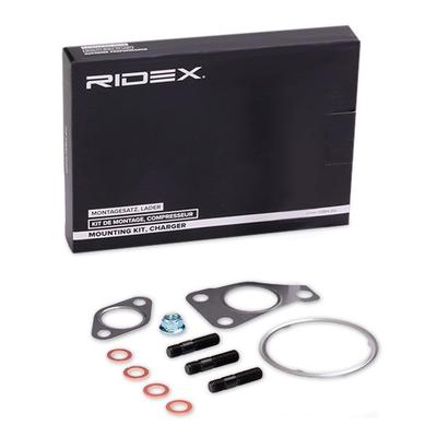 RIDEX Montagesatz, Lader OPEL,FIAT,PEUGEOT 2420M0072 Image