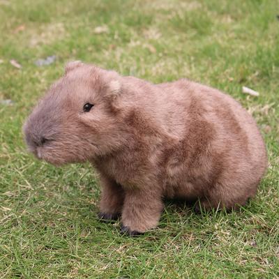 TEMU 1pc Of A Cute Capybara Model, A Realistic Water Pig Ornament For Desktop Home Decoration.