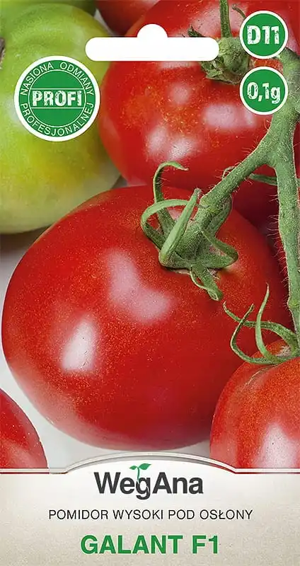 Galant F1 hohe Tomate 0,1g Samen-VegAna Image
