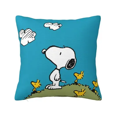 Decorative+Pillows