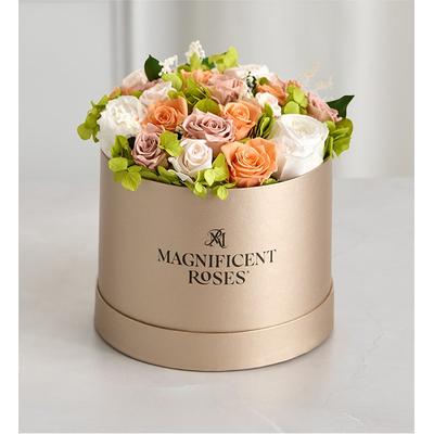 1-800-Flowers Flower Delivery Magnificent Roses Preserved Serenity Garden Magnificent Roses Preserved Serenity Garden