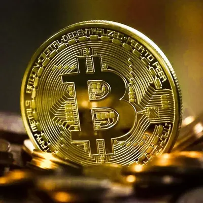 Gold Plated Bitcoin Coin Collectible Art Collection Gift Physical commemorative Casascius Bit BTC