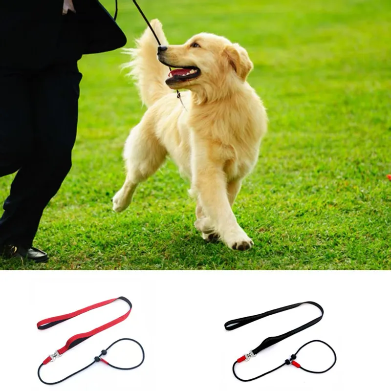 Trainings-Hunde-Leine aus Erstickungsseil, 2-in-1-Leinehalsband, 150 cm, P-förmige Kette, Slip-Leine, Kontrollleine für kleine, große Wettkampfhunde Image