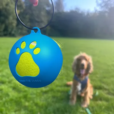 Tennis Ball Holder with Hook Lightweight Easy Installation Hands-Free Dog Training Toys Dog Leash