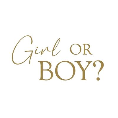 TEMU Gender Reveal & First Birthday Party Decals - High-quality Vinyl, Wall Signs For Celebrations Image