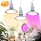 E27 LED Grow Light For Greenhouse AC100-265V 18W SMD2835 4000K Sunshine Purple Light For Indoor Outdoor Greenhouse Plant