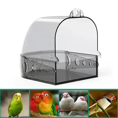 Bird+Supplies