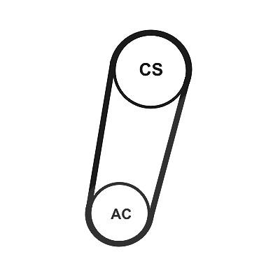 Continental Ctam Keilrippenriemensatz [Hersteller-Nr. 5PK705ELASTT1] für Ford, Volvo Image