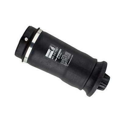 BILSTEIN Luftfeder, Fahrwerk MERCEDES-BENZ 40-247687 A1643200325,A1643200825,A1643200925 A1663200325,1643200225,1643200325,1643200725,A1643200625 Image