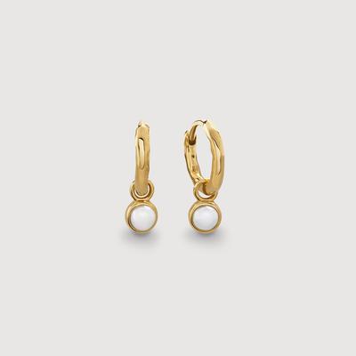 Gold Siren Mini Pearl Huggie Earrings Pearl