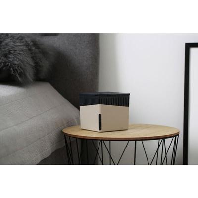 Raumentfeuchter Cube Beige 2 x 500 g - Beige - Wenko Image