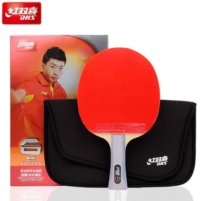 DHS 6002 Professional Table Tennis Racket, Hurricane 8 and Tin Arc Rubber, FL Handle Shake Hold Ping